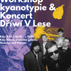 Programy k výstavám