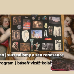 Programy k výstavám