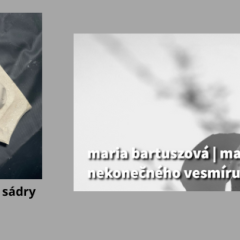 Programy k výstavám
